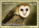 United Nations 2012 Fauna Birds Endangered Species - XX New York Geneva Vienna Joint Issues 12v MNH** 16.00 € - Emissions Communes New York/Genève/Vienne