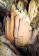 Postojna - Grotte - Les Bananes - Slovénie