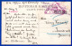 2874. . RUSSIA ,TOMSK. 1917 POW AUSTRIAN OFFICER POSTCARD TO AUSTRIA. WW I. - Lettres & Documents