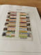 Delcampe - 2002 MNH  Netherlands According To DAVO (including Queen 2001-2006)  Postfris** - Full Years