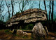 N°262 Z -cpsm Le Dolmen De La Pierre Pèse -Civray- - Dolmen & Menhire