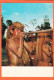 19861 / ⭐ ♥️ Peu Commun PERU Région IQUITOS Amazonia YAGUA Indian With Blowgun PEROU Chasseurs Sarbacane Mai 1972 - Peru