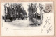 19544 /  ️ CASTELNAUDARY 11-Aude Promenade Cours De La REPUBLIQUE Attelage 1901 De TAILLEFER - Paul BREFFEIL 2 Aude - Castelnaudary