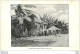 A SIDE STREET SCENE AT BONTHE SHERBRO - Sierra Leona