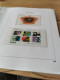 Delcampe - 2007 MNH  Netherlands According To DAVO  Postfris** - Full Years
