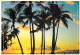 Etats Unis - Hawaï - Sunset Skies - Etat De Hawaï - Hawaï State - CPM - Voir Timbre - Voir Scans Recto-Verso - Other & Unclassified