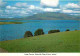 Irlande - Kerry - Lough Currane - Waterville - Ring Of Kerry - CPM - Voir Scans Recto-Verso - Kerry