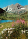 Etats Unis - Maroon Bell Peaks And Wildflowers Near Aspen - Etat Du Colorado - Colorado State - CPM - Carte Neuve - Voir - Andere & Zonder Classificatie