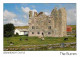 Irlande - Clare - Lemaneagh Castle - The Burren - Vaches - CPM - Voir Scans Recto-Verso - Clare