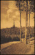 Ansichtskarte Hiddesen-Detmold Blick Vom Waldweg Auf Das Hermannsdenkmal 1912 - Detmold