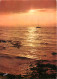 Coucher De Soleil - CPM - Voir Scans Recto-Verso - Controluce