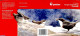Norway 2019 Europa, Birds Booklet, Mint NH, History - Nature - Europa (cept) - Birds - Neufs