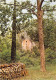 83 - Salernes - La Chapelle Et La Vallée De Saint Barthélémy - Salernes