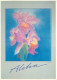 Etats Unis - Hawaï - Hawaï's Flowers - Cattleya Orchids - Fleurs - Etat De Hawaï - Hawaï State - CPM - Voir Timbre - Voi - Autres & Non Classés