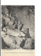 Grottes De La Balme - Retour D'une Visite Chez Les Moines - édit. B.F. Berthaud 3 + Verso - La Balme-les-Grottes