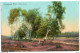 SPRING-CLEANING LOT (2 POSTCARDS), Lüneburger Heide, Germany - Lüneburger Heide