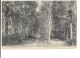 Pavillons-sous-Bois - Derniers Vestiges De La Forêt De Bondy - édit. A. Moquet  + Verso - Les Pavillons Sous Bois
