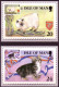 ISLE OF MAN MI-NR. 668-672 MAXIMUMKARTENSATZ MANX KATZEN - Domestic Cats