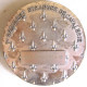 Médaille En Bronze 1er Régiment Étranger De Cavalerie, 80e Anniversaire - Autres & Non Classés