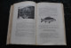 Delcampe - JHO-PALE LA PECHE EN RIVIERES CANAUX ET ETANGS 1905 Pêches Bizarres Cuisine De NOURY THOMEN Illustrations RARE Régionale - Jacht/vissen