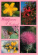 Irlande - Wildflowers Of Ireland - Multivues - Fleurs - Papillons - CPM - Voir Scans Recto-Verso - Other