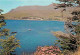 Irlande - Galway - Connemara - Killary Harbour From Leenane - CPM - Voir Scans Recto-Verso - Galway