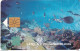 SABA(NETH. ANTILLES) - Marine Life, First Chip Issue 60 Units, Tirage 2000, 10/96, Used - Sonstige - Amerika