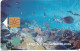 SABA(NETH. ANTILLES) - Marine Life, First Chip Issue 60 Units, Tirage 2000, 10/96, Used - Antillen (Nederlands)
