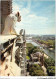 AJAP10-GARGOUILLE-0989 - PARIS - Panorama Pris Des Tours De Notre-dame  - Autres & Non Classés
