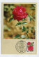 MC 211931 GERMANY - 1982 - Wohlfahrtsmarken - Bourbonrose - 1981-2000