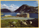 2 PC - Norway - Geiranger - Djupvashytta Hotel - Geirangerfjorden Og Ornesvingene - Fjord, Eagle Road, Ship - Norwegen