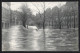 AK Nürnberg, Hochwasser-Katastrophe Vom 05. Febr. 1909, Blick Auf Den Maxplatz  - Floods