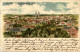 Gruss Aus Oelsnitz - Litho - Oelsnitz I. Vogtl.