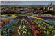 Blumenstadt Quedlinburg - Quedlinburg