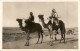 Beduinen Auf Kamel - Personen