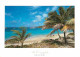 Guadeloupe - Saint Barthelemy - Colombier - CPM - Voir Scans Recto-Verso - Saint Barthelemy