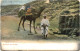 Bedouin En Voyage - Egypt - Personnes
