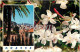CPA Cote D'Azur Carrefour Mondial Du Tourisme Grasse Cite Des Fleurs Et Des Parfums Le Jasmin  - Carrefour Pompadour