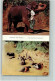 10519001 - Elefanten Elephant And Mahout Bathing - - Éléphants