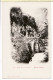 21269 / ( Etat Parfait ) LARUNS (64) Route Des EAUX CHAUDES Pont Du HOURAT 1900s  Editeur Lourdes D.T 249 - Laruns