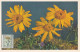 Carte Maximum Belgique 814 Oeuvres Antituberculeuses Fleur Flower Arnica 1950 - 1934-1951