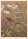 Carte Maximum Belgique 835 Œuvres Antituberculeuses Fleur Flower Linaigrette 1951 - 1934-1951