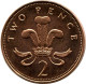 2 PENCE 1998 UK GRANDE-BRETAGNE GREAT BRITAIN Pièce UNC #M10195.F.A - 2 Pence & 2 New Pence