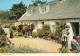 CPSM Bel Air,Sark-Timbre     L2834 - Sark