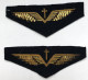 2 Anciens Insigne De Casquette AUMONIER Armée De L'air Française (belle Qualité) - Uniforms