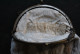 Delcampe - Rare Aumonière (15.5 X 14 Cm) Perles Et Métal Doré Années 1890 1900 1920 Sans Marque - Minaudière Art Nouveau Sac Deco - Bourses Et Sacs