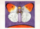 PAPILLONS Animaux Vintage Carte Postale CPSM #PBS428.FR - Papillons