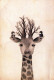 GIRAFFE Animale Vintage Cartolina CPSM #PBS958.IT - Giraffen