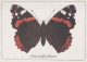 FARFALLA Animale Vintage Cartolina CPSM #PBS430.IT - Butterflies