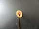 Old Pin Anstecknadel Suisse Svizzera Switzerland - Schweizer Handball Verband - Sin Clasificación